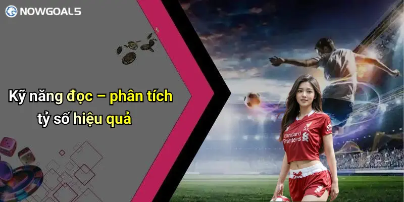 Kỹ năng đọc – phân tích tỷ số hiệu quả