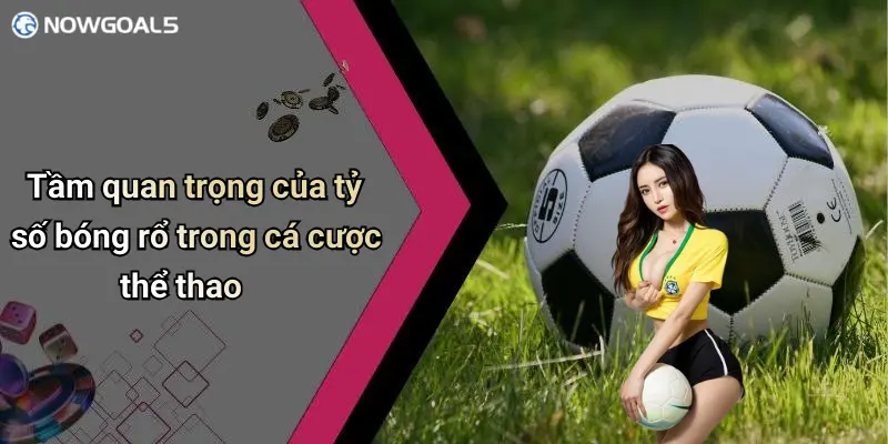 Tầm quan trọng của tỷ số bóng rổ trong cá cược thể thao