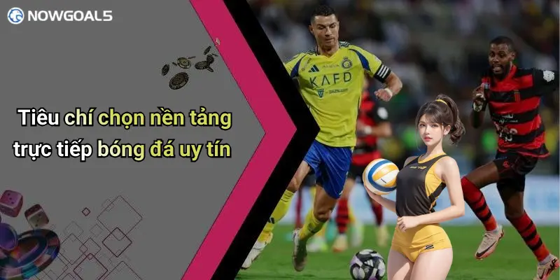 Tiêu chí chọn nền tảng trực tiếp bóng đá uy tín
