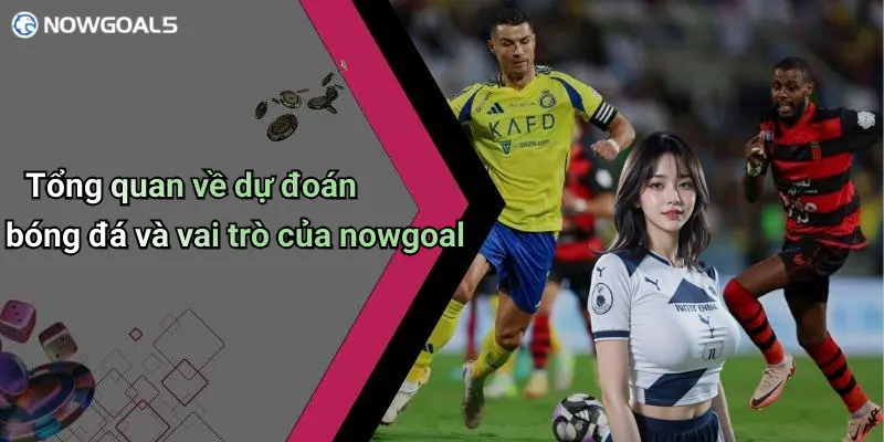 Tổng quan về dự đoán bóng đá và vai trò của nowgoal