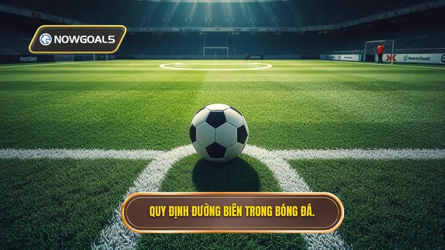 1. Quy định đường biên trong bóng đá.