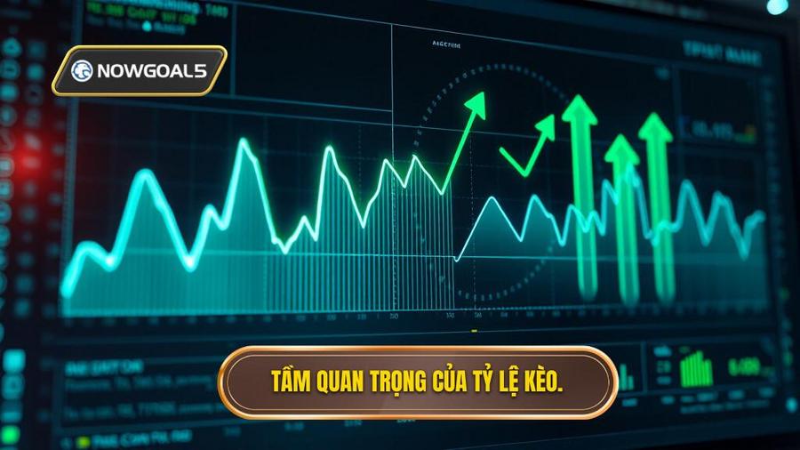 Hiểu rõ về Tỷ lệ kèo tối nay: Tại sao nó lại quan trọng?