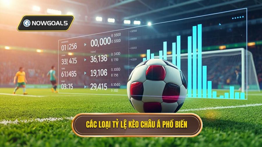 2. Các loại tỷ lệ phổ biến trong Kèo bóng đá Châu Á