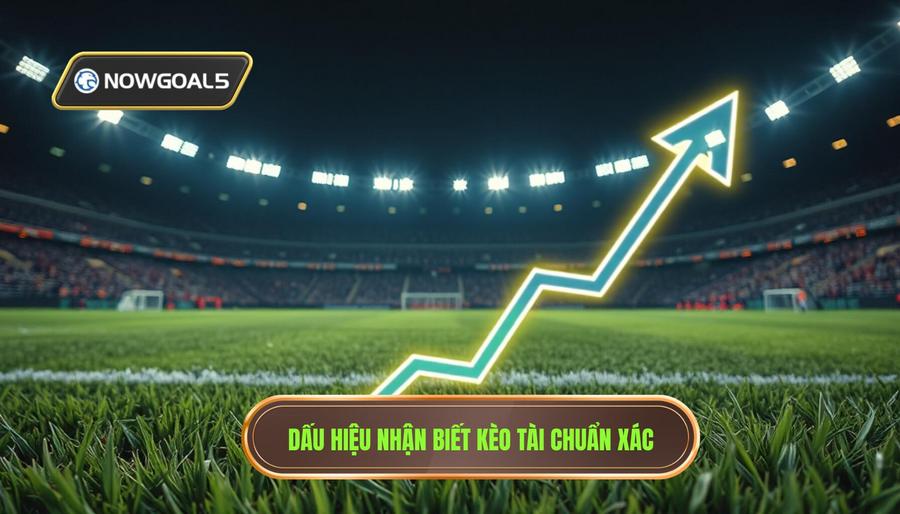Những dấu hiệu nhận biết khi nào nên vào kèo tài